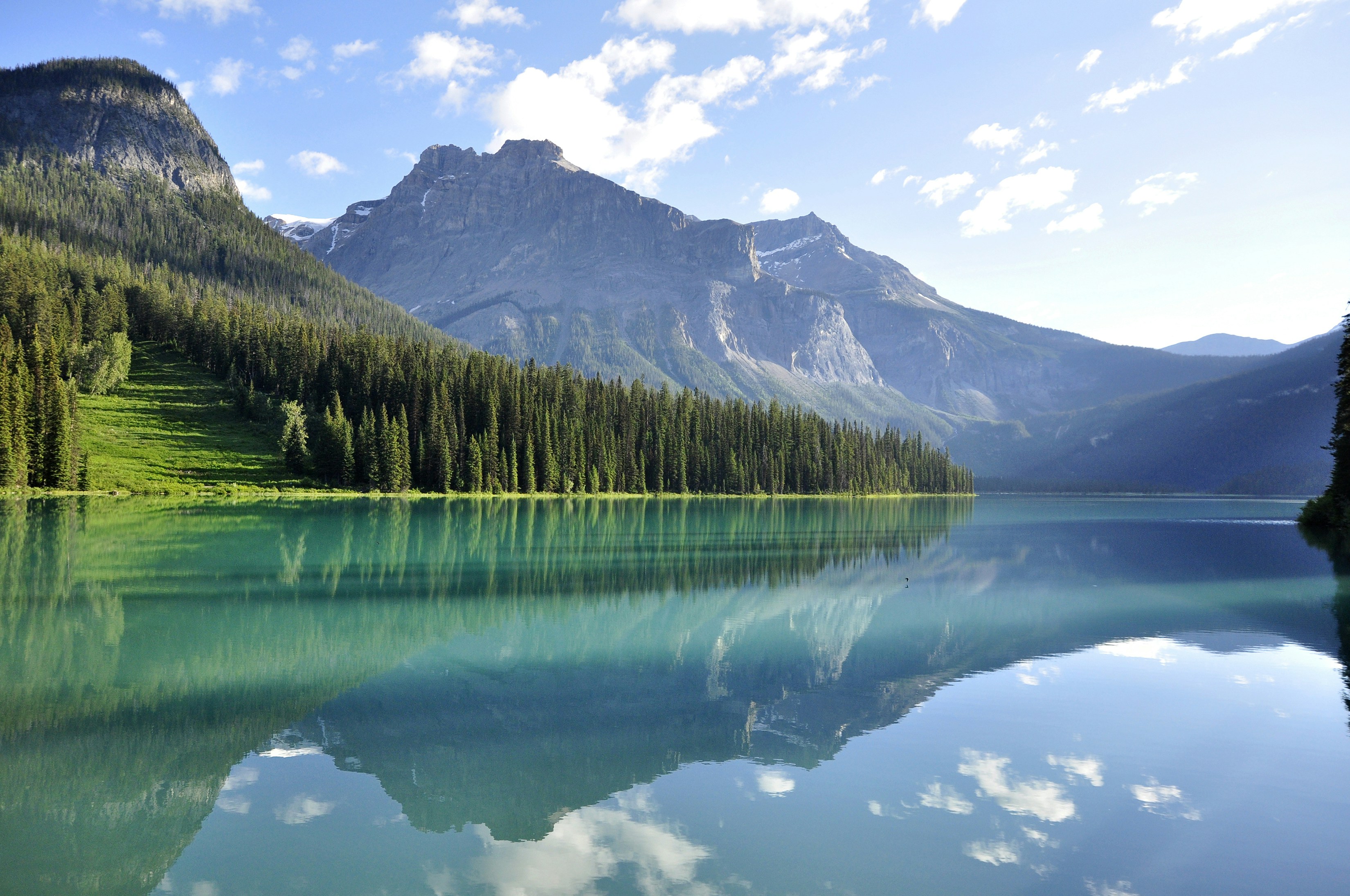 Nature Image 1
