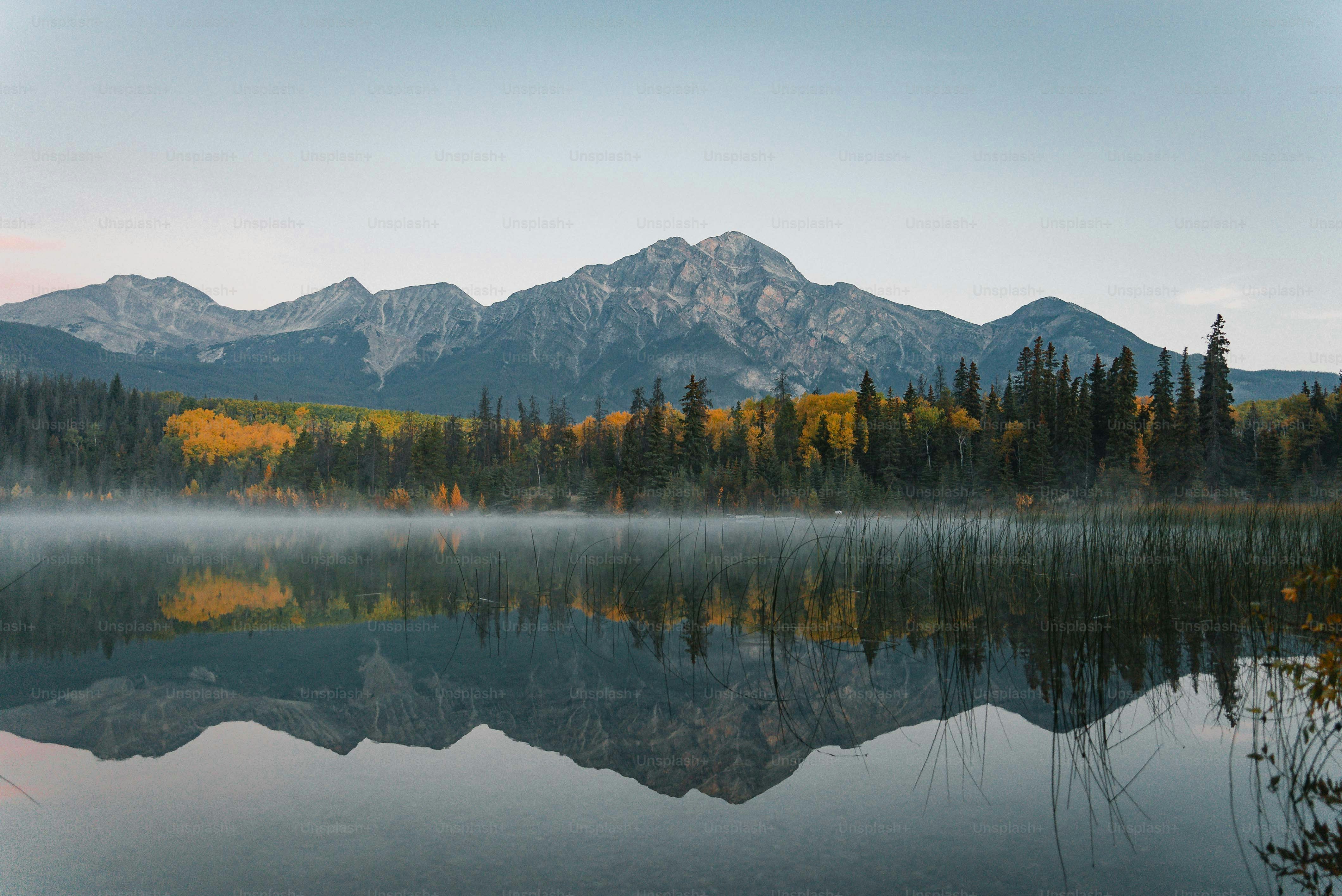 Seasonal Landscape