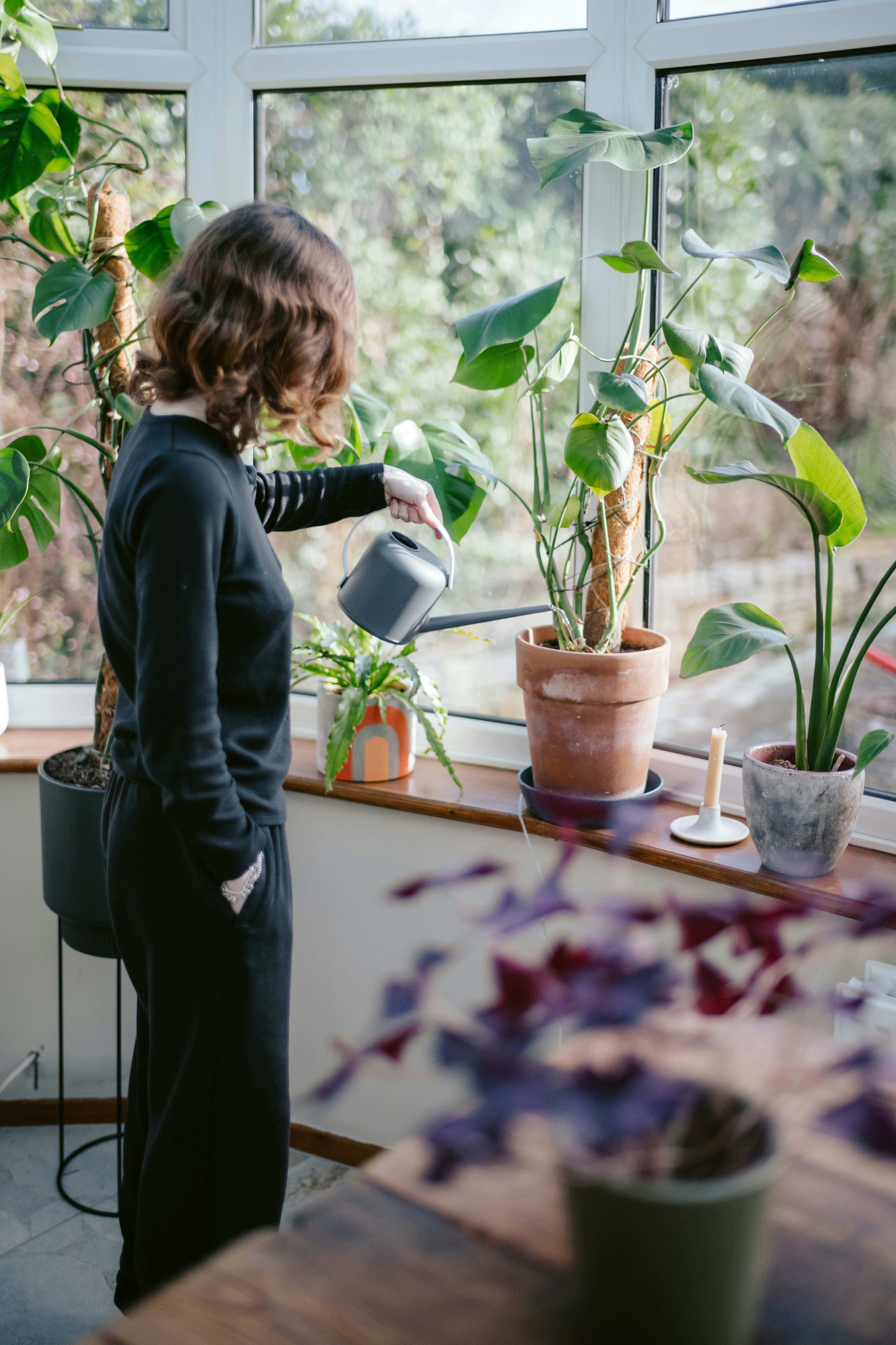 Plant Care 101