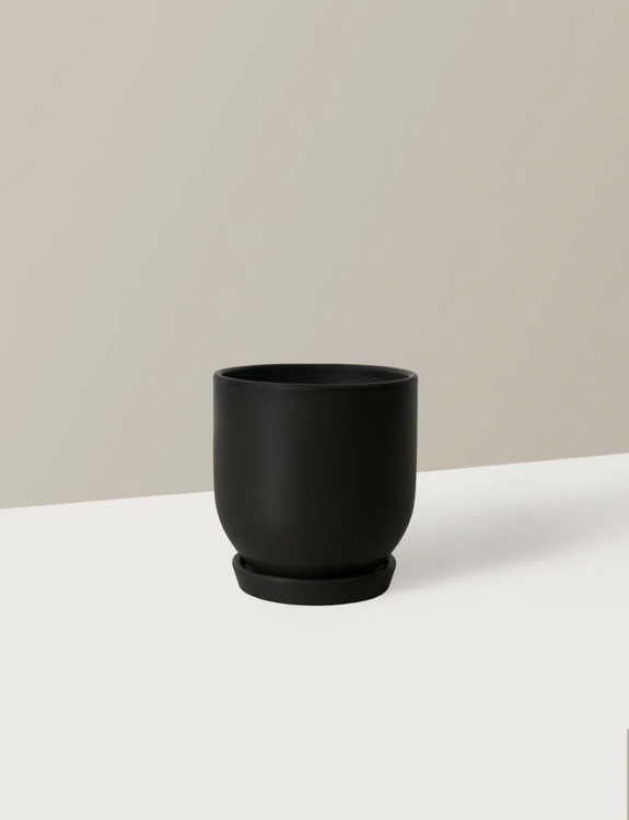 Minimalist Ceramic Pot